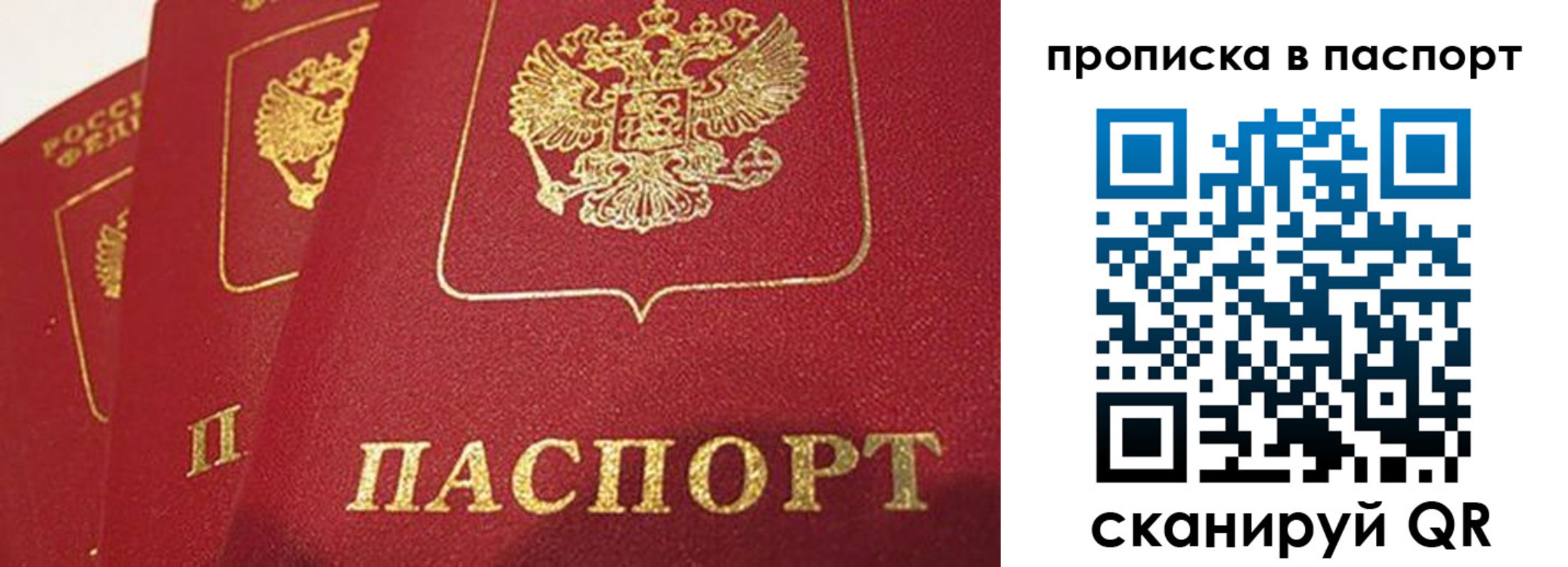 прописка гарантия в Донецке